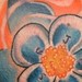 Tattoos - Columbine Flower - 52199